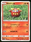 Darumaka