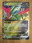 Iron Leaves Ex