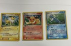 Eevee, Flareon, Jolteon, Vaporeon