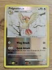 Pidgeotto