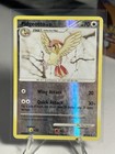 Pidgeotto