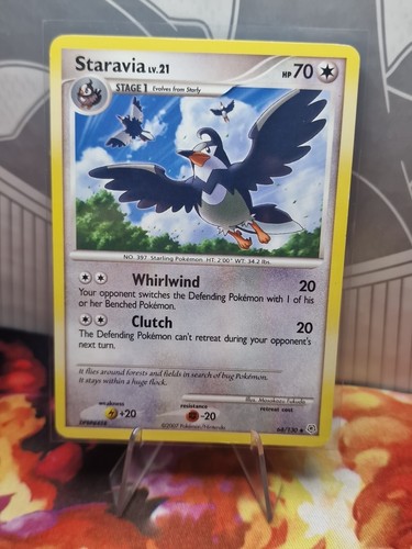 Staravia