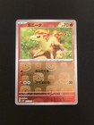 Ponyta