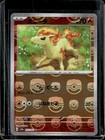 Ponyta