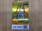 Iron Valiant ex