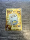 Egg Incubator