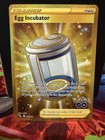 Egg Incubator
