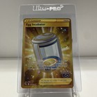 Egg Incubator