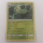 Sceptile