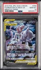 Mewtwo & Mew GX