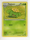 Skiploom