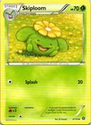 Skiploom
