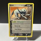 Absol