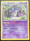 Nidoking