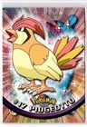 Pidgeotto