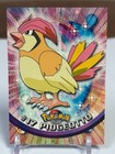 Pidgeotto