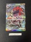 N's Zoroark ex