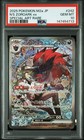N's Zoroark ex