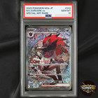 N's Zoroark ex