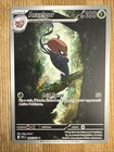 Accelgor