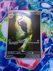 Accelgor