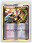 Pokemon Reversal