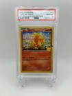 Torchic