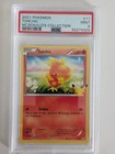 Torchic