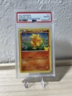 Torchic
