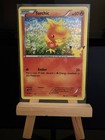 Torchic