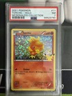 Torchic