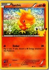 Torchic