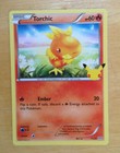 Torchic