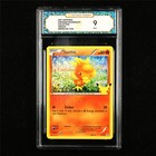 Torchic