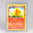 Torchic
