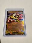 Mega Hawlucha ex