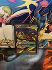 Mega Hawlucha ex