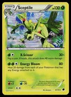 Sceptile