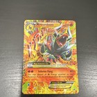 M Houndoom EX