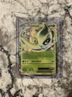 Celebi EX