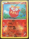 Darumaka