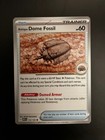 Antique Dome Fossil