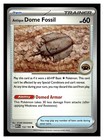 Antique Dome Fossil