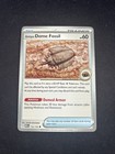 Antique Dome Fossil