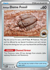 Antique Dome Fossil