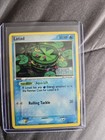 Lotad