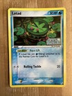 Lotad