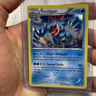 Feraligatr