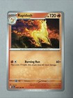 Rapidash