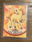Ponyta